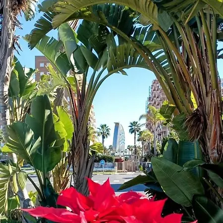 Edificio Valparaiso,de Lujo Con Wifi Apartamento *
